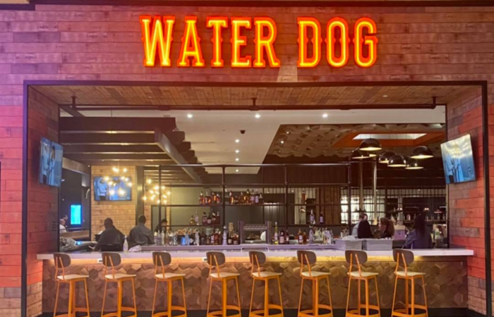 water-dog